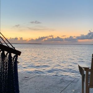 Meet your Posher, Alfred